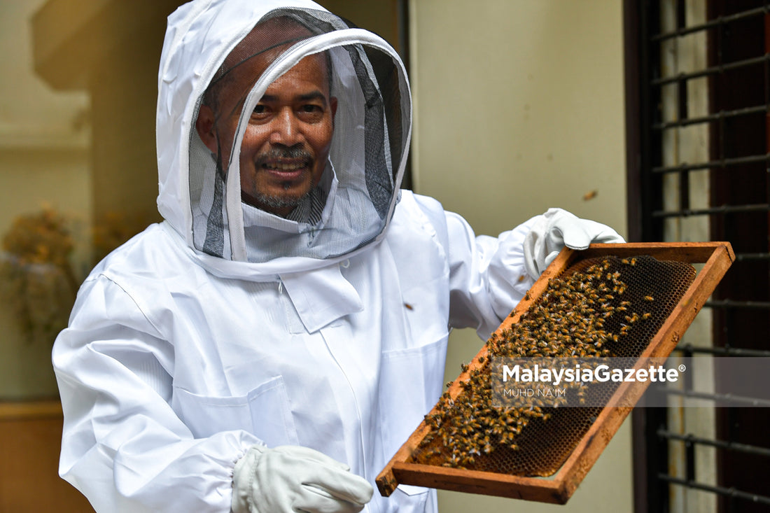 Apitherapy mula diterima dunia, Malaysia bila lagi?