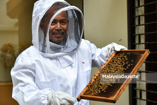 Apitherapy mula diterima dunia, Malaysia bila lagi?